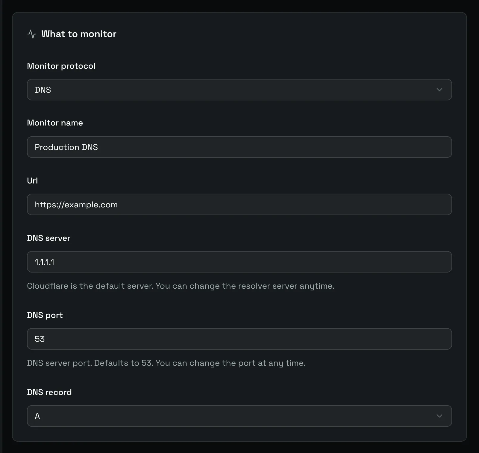 The What to monitor card of a DNS monitor