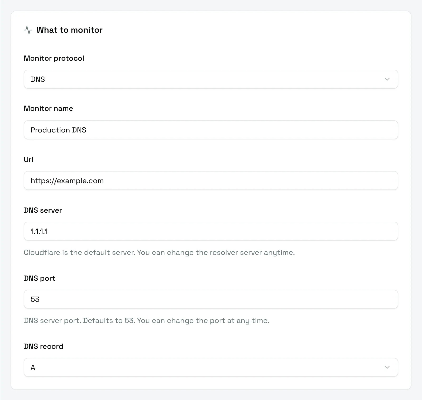 The What to monitor card of a DNS monitor